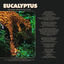 Cover Eucalyptus