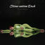 Cover Sterne unterm Dach