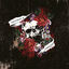 Cover Destroy And Conquer