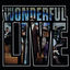 Cover The Wonderful Live
