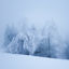 Cover Winter Solace