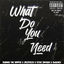 Cover What Do You Need (feat. Steve Samson & Sweeney)