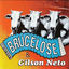 Cover Brucelose & Gilson Neto