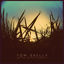 Cover Wait for This Day to Grow Old