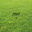 Cover Don't II