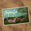 Cover TEQUILA