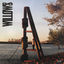 Cover Willows