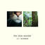 Cover The Slow Wonder