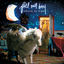 Cover Infinity On High