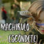 Cover Machirulo Escondete