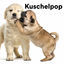Cover Kuschelpop