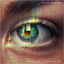 Cover Sight