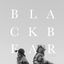 Cover Black Bear (Hushed)