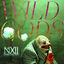 Cover Wild Gods
