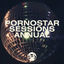 Cover Pornostar Sessions Annual 2025