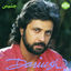 Cover Cheshme Man, Dariush 2 - Persian Music