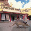 Cover The Best Of Freddie King: The Shelter Years
