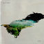 Cover Resin