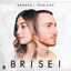 Cover Brisei