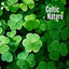 Cover Celtic Nature: Birds Singing, Forest Sounds, Pure Water Ambience