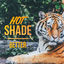 Cover Better