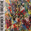 Cover Remember to Breathe