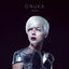 Cover Vidlik