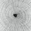 Cover Demiurge