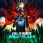 Cover Brighter Days