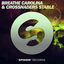 Cover Stable