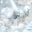 Cover shine__space