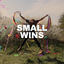 Cover Small Wins