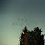 Cover You