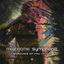 Cover Shadows of You (Symphonix Remix)