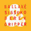 Cover Ballaké Sissoko & Derek Gripper