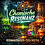 Cover Chemische Resonanz