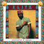 Cover Afropolitan Dreams