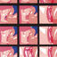 Cover L'AMOUR ET LA VIOLENCE