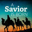 Cover A Savior Is Born