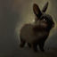 Cover bunnybunnybunny