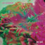 Cover Ha Sido