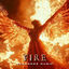 Cover Fire