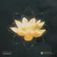 Cover Samsara