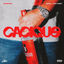 Cover Cacique