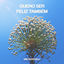 Cover Quero Ser Feliz Também