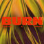 Cover Burn