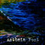 Cover Antònia Font