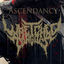 Cover Ascendancy