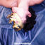 Cover It Takes A Fool To Remain Sane