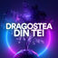 Cover Dragostea Din Tei